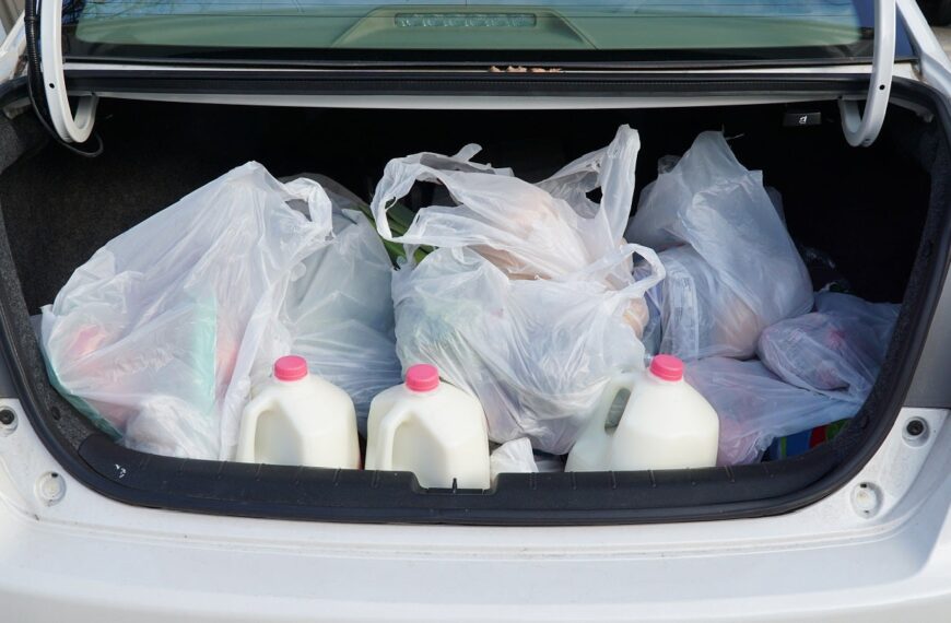 RRA coalition criticises California’s proposed plastic bag ban 