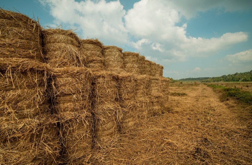 India’s Dharaksha Ecosolutions secures Rs248m in seed funding 