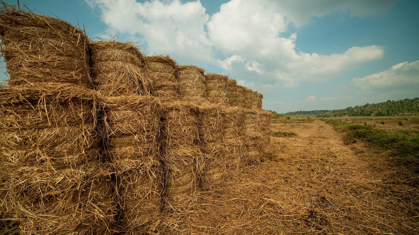 India’s Dharaksha Ecosolutions secures Rs248m in seed funding