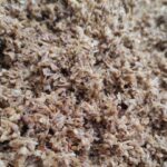 POLYMEER project aims to transform BSG into bioplastics