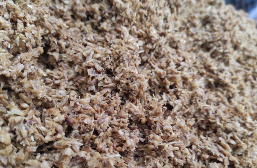 POLYMEER project aims to transform BSG into bioplastics