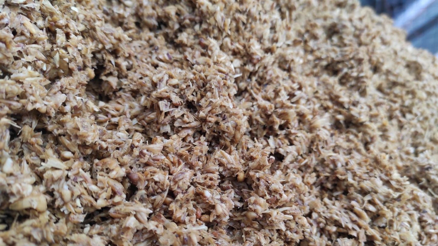 POLYMEER project aims to transform BSG into bioplastics