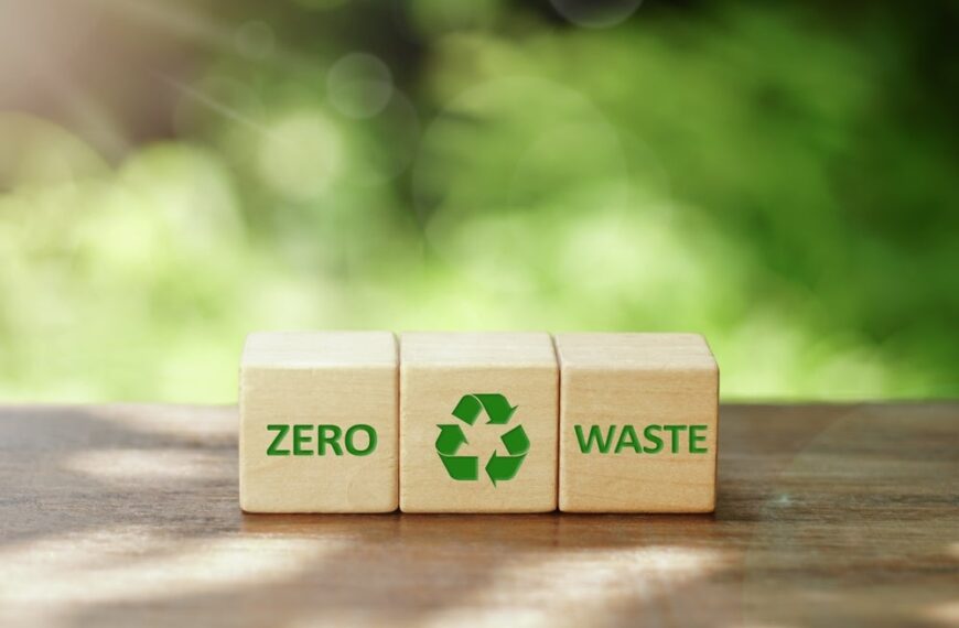 Circular economy in packaging explained
