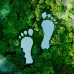 3 Ways your businesses should be preparing for Extended Producer Responsibility fees