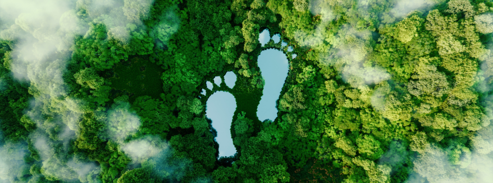 3 Ways your businesses should be preparing for Extended Producer Responsibility fees