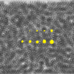 Mettler Toledo Releases X52 Dual Energy X-Ray Inspection System