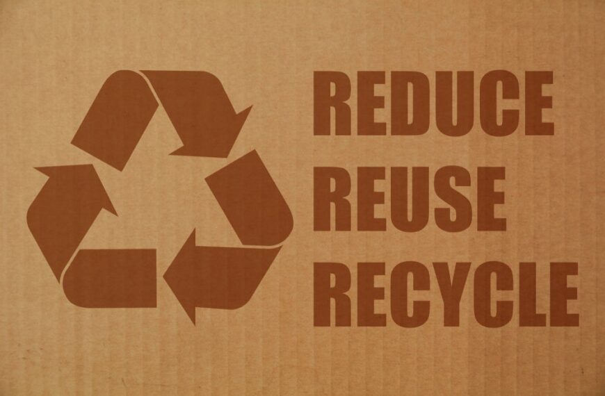 Innovations driving sustainable packaging