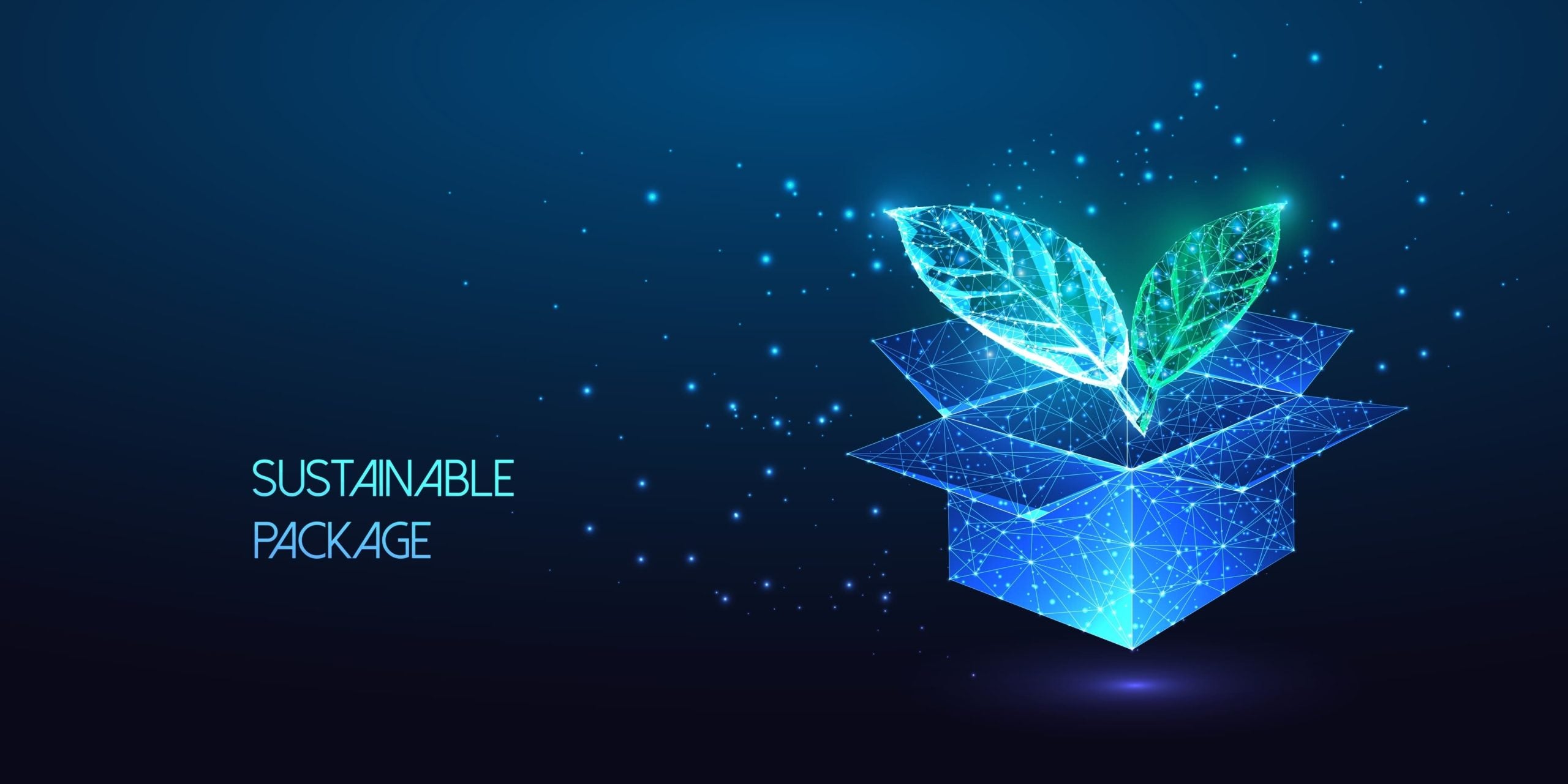 Shaping the future of sustainable packaging