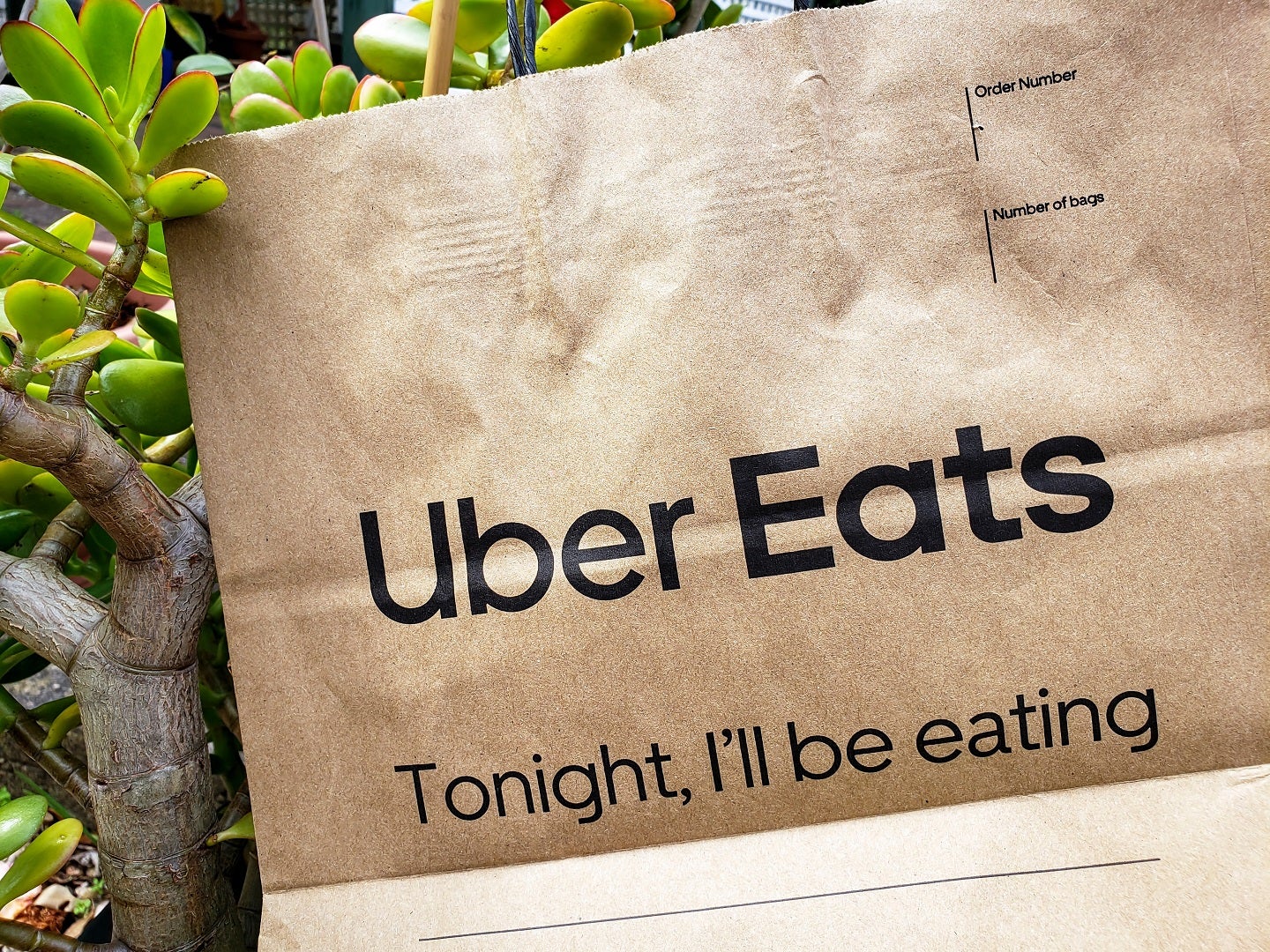 Uber Eats in France to deliver orders in Releaf Paper leaf-fibre bags 