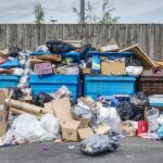 Study reveals households binned 5.6 million tonnes of packaging waste in 2023 