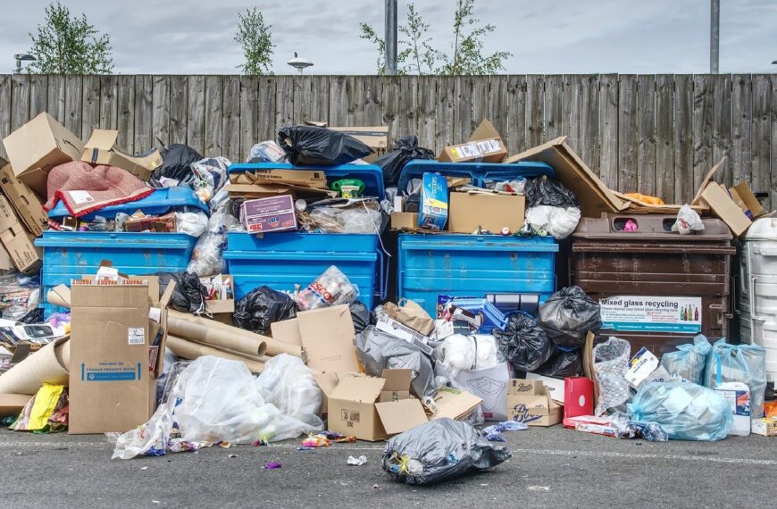 Study reveals households binned 5.6 million tonnes of packaging waste in 2023 