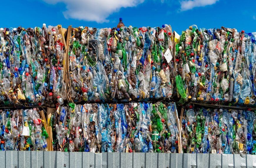 All governments gain access to Earth Action Plasteax platform 