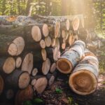 Stora Enso to acquire Finnish sawmill company Junnikkala for €137m