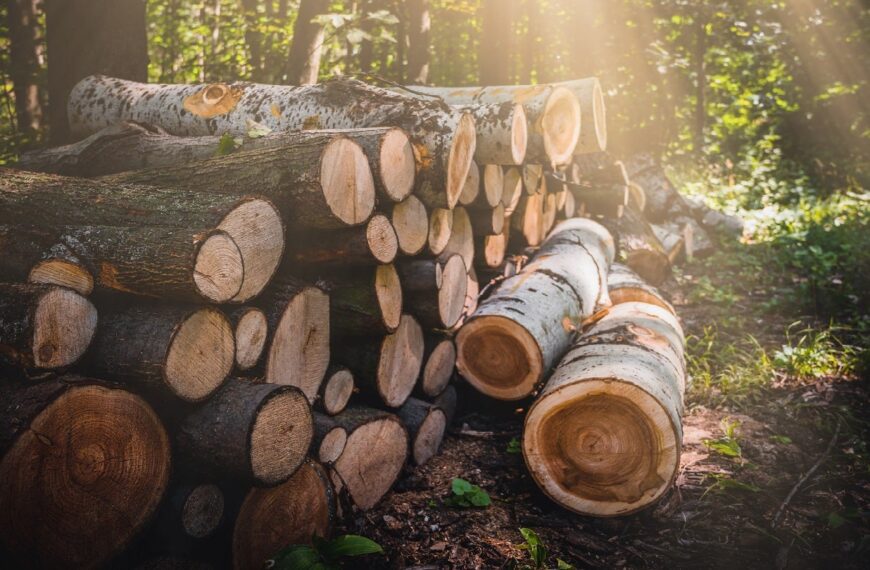 Stora Enso to acquire Finnish sawmill company Junnikkala for €137m