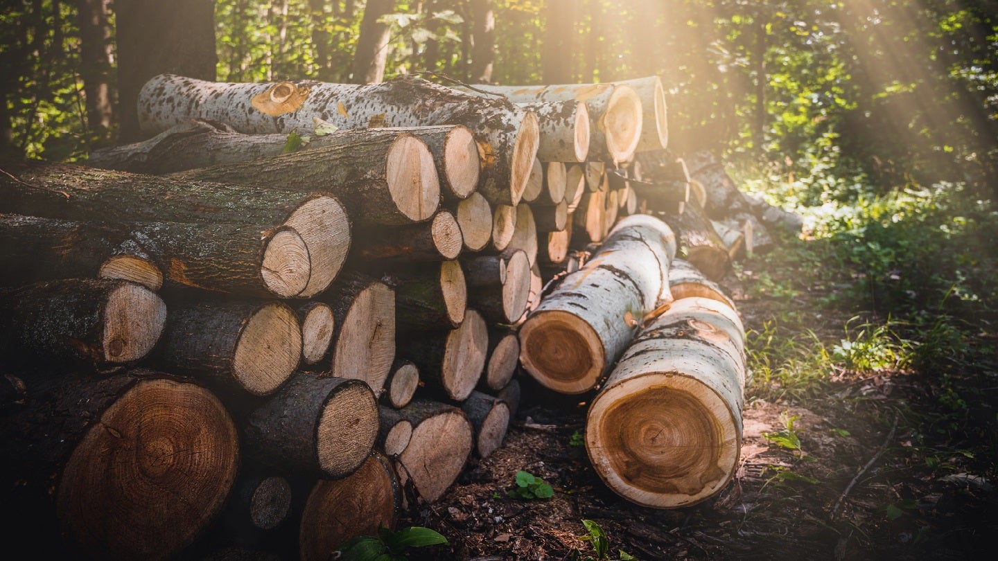 Stora Enso to acquire Finnish sawmill company Junnikkala for €137m