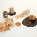 Seaweed-based Packaging Firm B’ZEOS Secures Seed Round, Strategic Partnerships