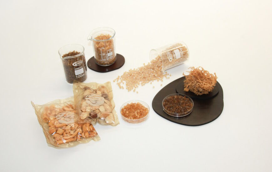 Seaweed-based Packaging Firm B’ZEOS Secures Seed Round, Strategic Partnerships