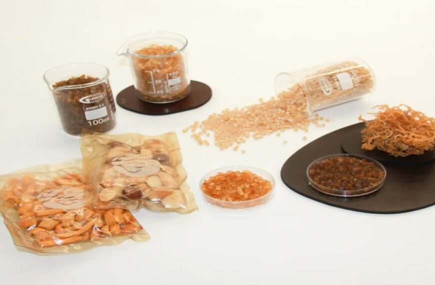 B’ZEOS raises seed funding to scale up compostable seaweed-based packaging