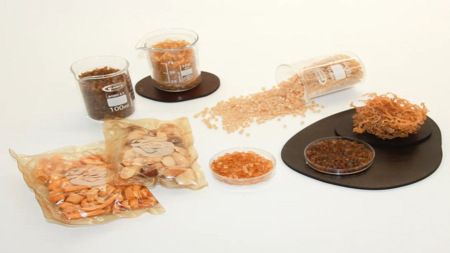 B’ZEOS raises seed funding to scale up compostable seaweed-based packaging