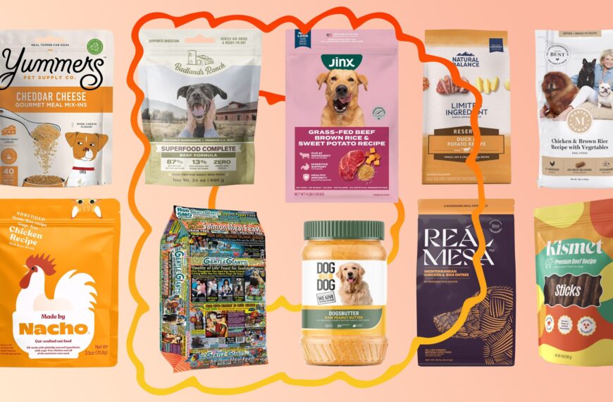 Celebrity Pet Food Brands Are the New Celebrity Tequila Brands