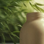 The Use of Plastic by Food & Beverage Brands amid Stricter Environmental Regulations