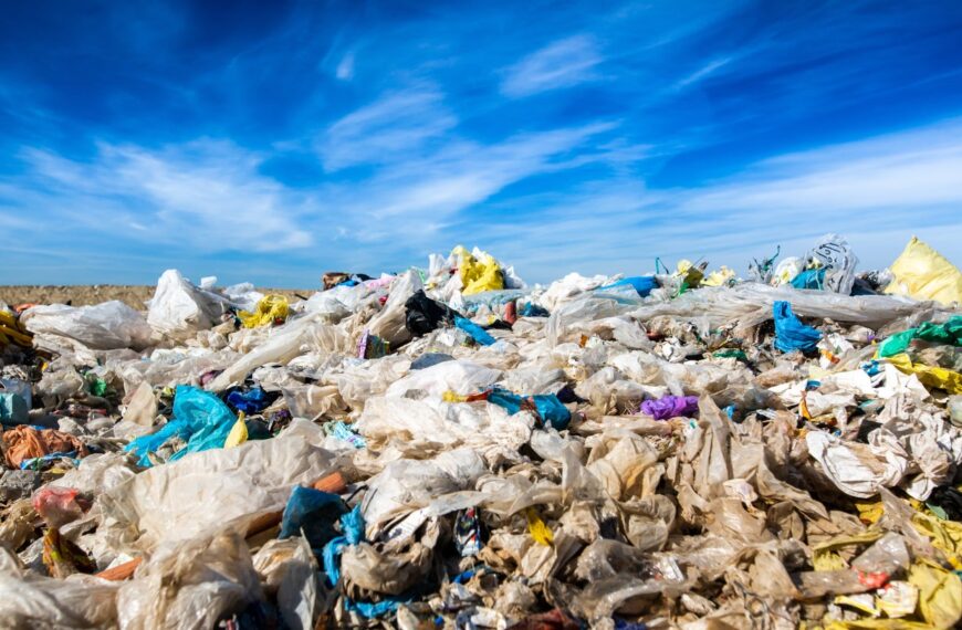 UN plastics treaty discussions begin in South Korea