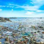 WWF calls for action ahead of INC-5 to secure global plastic pollution treaty