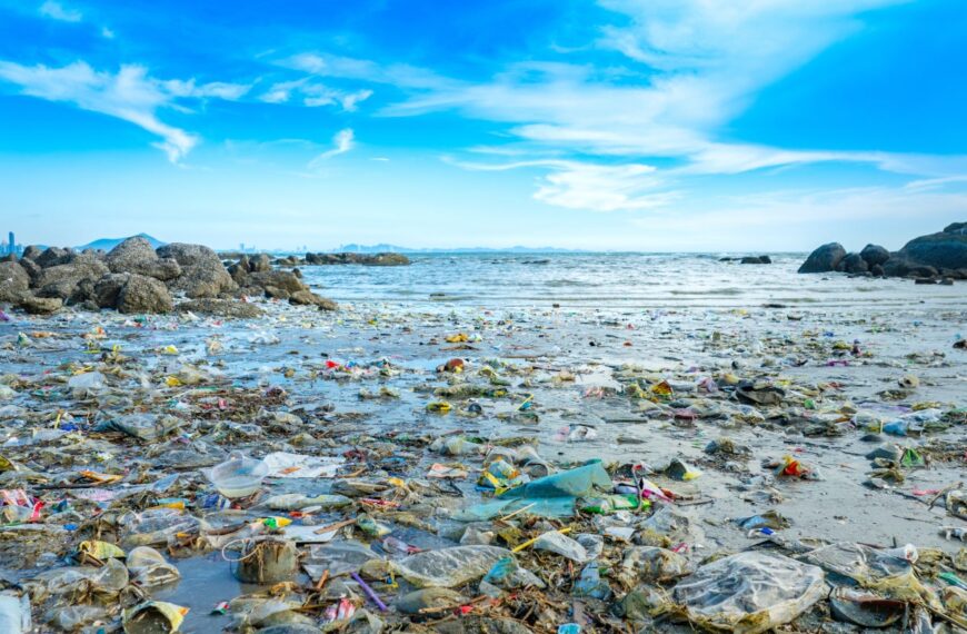 WWF calls for action ahead of INC-5 to secure global plastic pollution treaty
