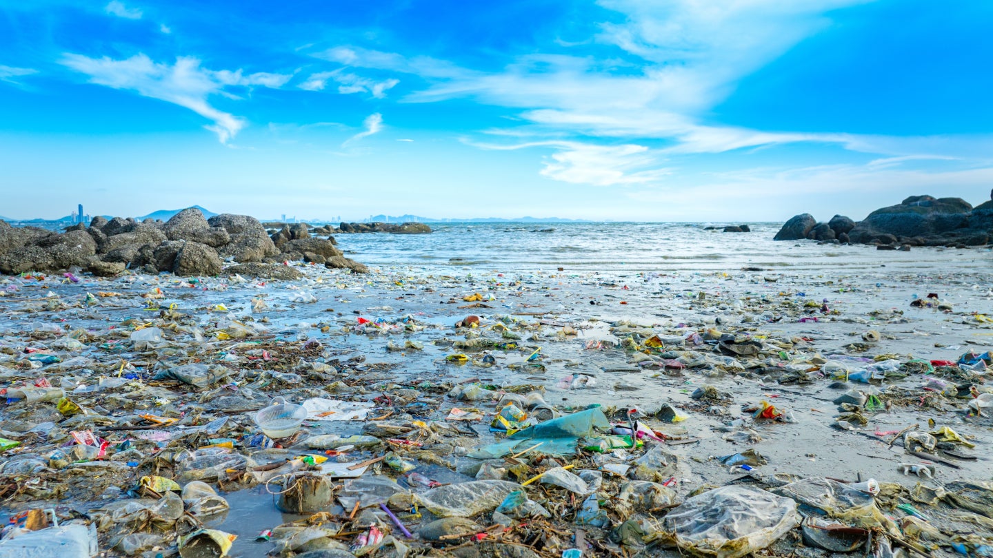 WWF calls for action ahead of INC-5 to secure global plastic pollution treaty