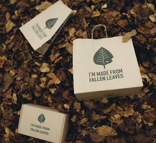 Releaf Paper Launches Pilot Production Line and Innovation Center in France