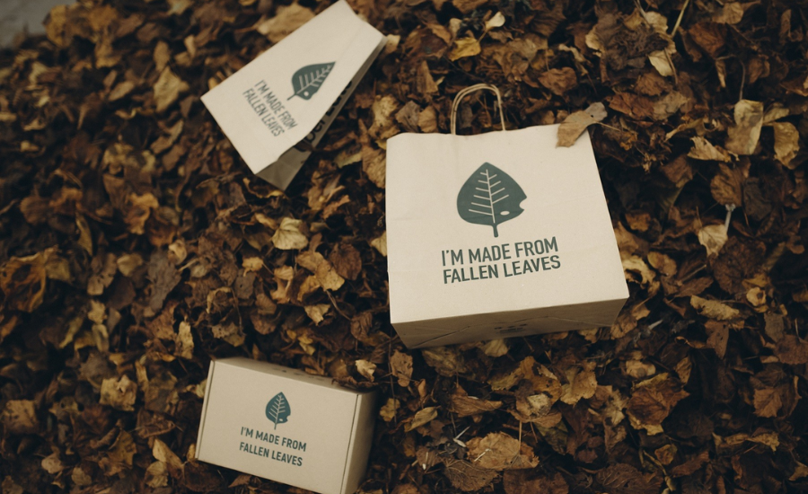 Releaf Paper Launches Pilot Production Line and Innovation Center in France