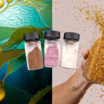 Sway, Umaro secure $1.5-million DOE grant to support innovative seaweed solutions