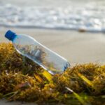 Gimme Seaweed partners with rePurpose Global to remove ocean-bound plastics