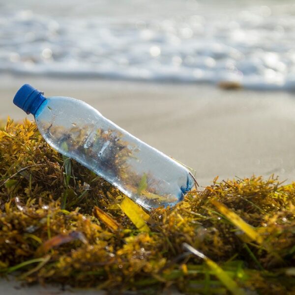 Gimme Seaweed partners with rePurpose Global to remove ocean-bound plastics
