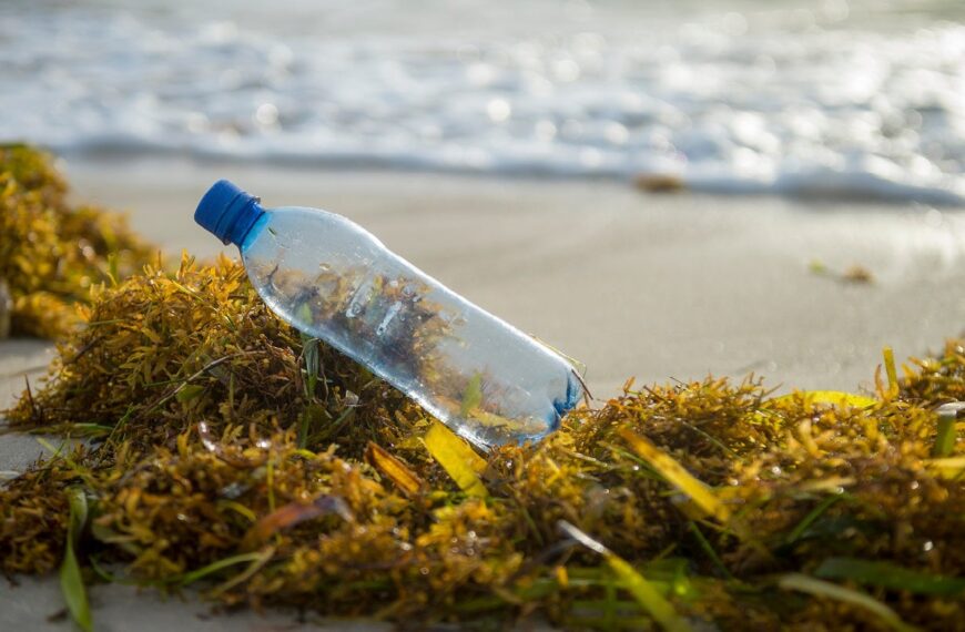 Gimme Seaweed partners with rePurpose Global to remove ocean-bound plastics