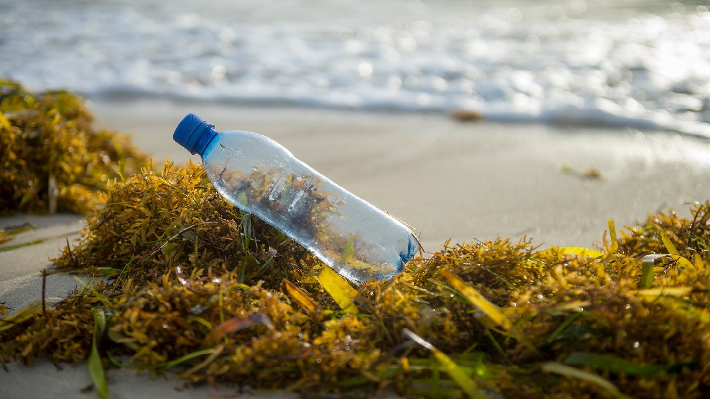 Gimme Seaweed partners with rePurpose Global to remove ocean-bound plastics