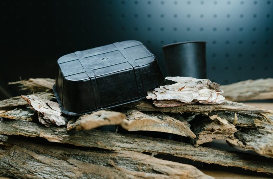 UK startup to introduce world’s first bark packaging to replace plastics