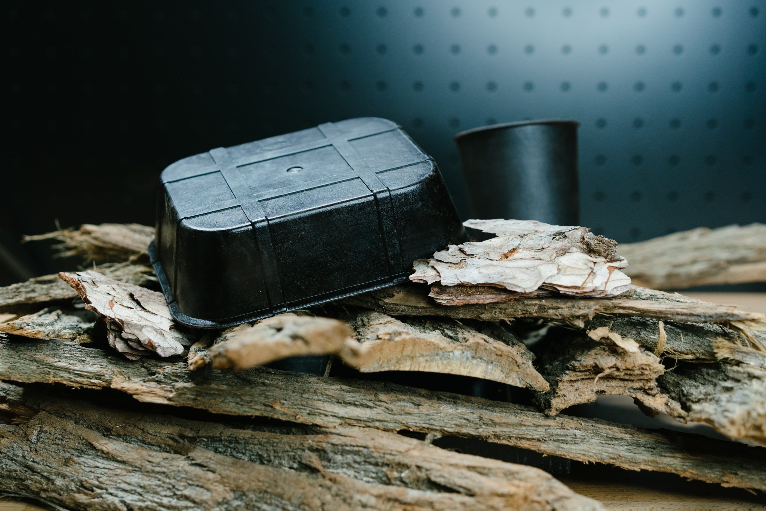UK startup to introduce world’s first bark packaging to replace plastics