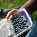 Bostik and Brückner Maschinenbau Partner to Develop BOPET Lidding Film