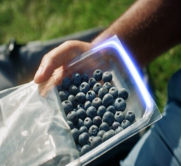 Bostik and Brückner Maschinenbau Partner to Develop BOPET Lidding Film