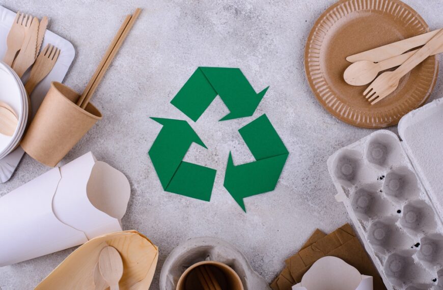 How sustainability is shaping food packaging supply chains