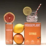 Seth Rogen’s Houseplant Brand Just Released THC-Infused Beverages