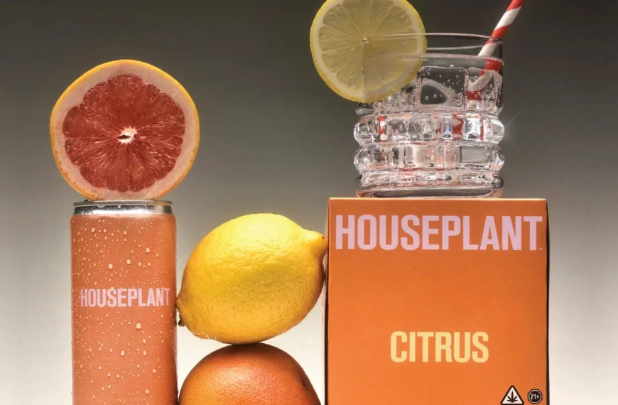 Seth Rogen’s Houseplant Brand Just Released THC-Infused Beverages