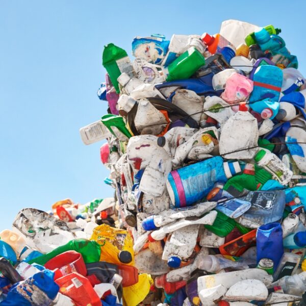 Abu Dhabi’s policy prevents use of 364 million single-use plastic bags