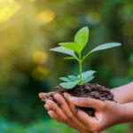 SIG launches forest conservation project in Thailand