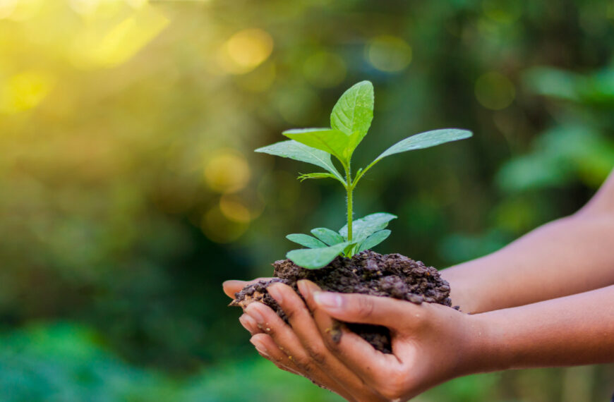 SIG launches forest conservation project in Thailand