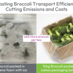 StePacPPC's Xtend Packaging Films Enhance Sustainability of Broccoli Packaging