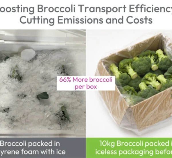 StePacPPC's Xtend Packaging Films Enhance Sustainability of Broccoli Packaging