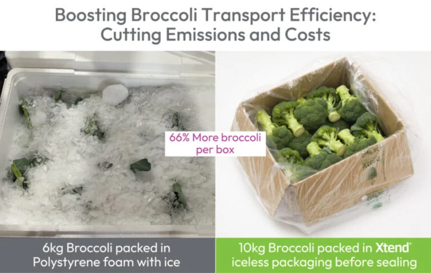StePacPPC's Xtend Packaging Films Enhance Sustainability of Broccoli Packaging