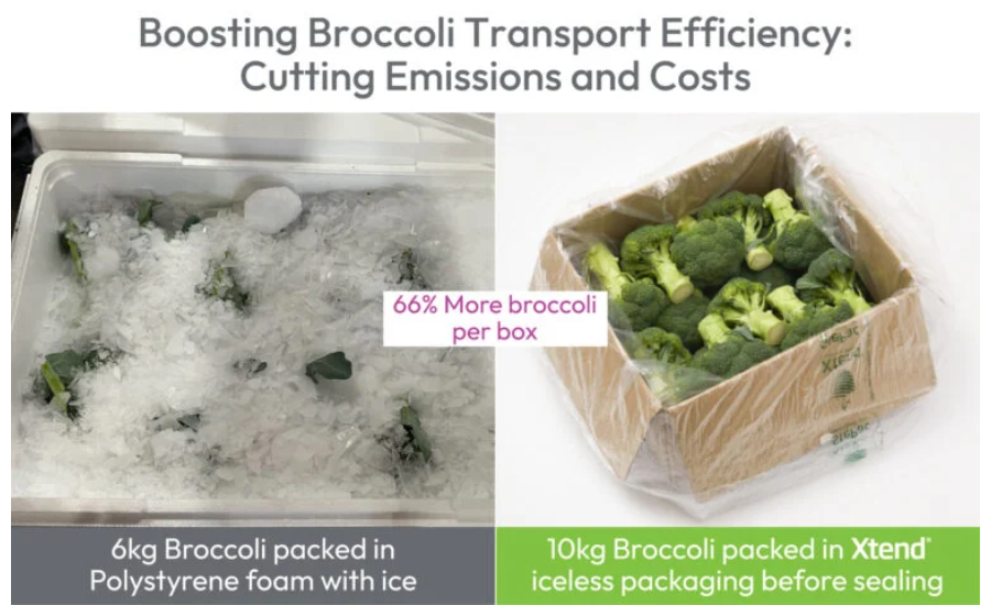StePacPPC's Xtend Packaging Films Enhance Sustainability of Broccoli Packaging